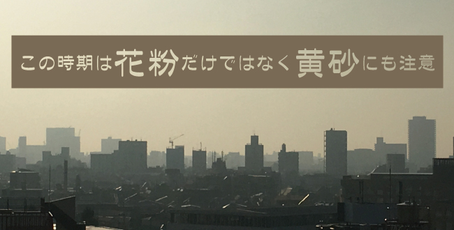 花粉症の皆さん この時期は黄砂にも注意しましょう 産業保健新聞 ドクタートラスト運営